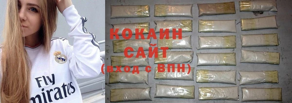 спайс Дмитриев