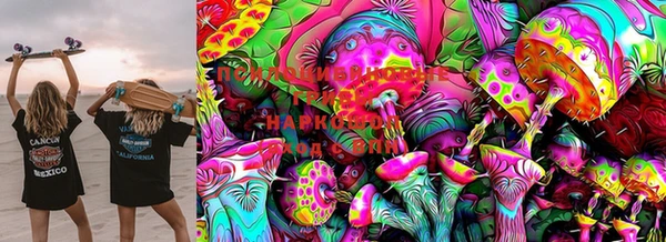 гашиш Дмитров