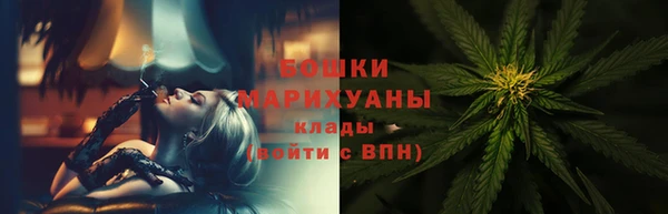 спайс Дмитриев