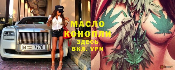 спайс Дмитриев